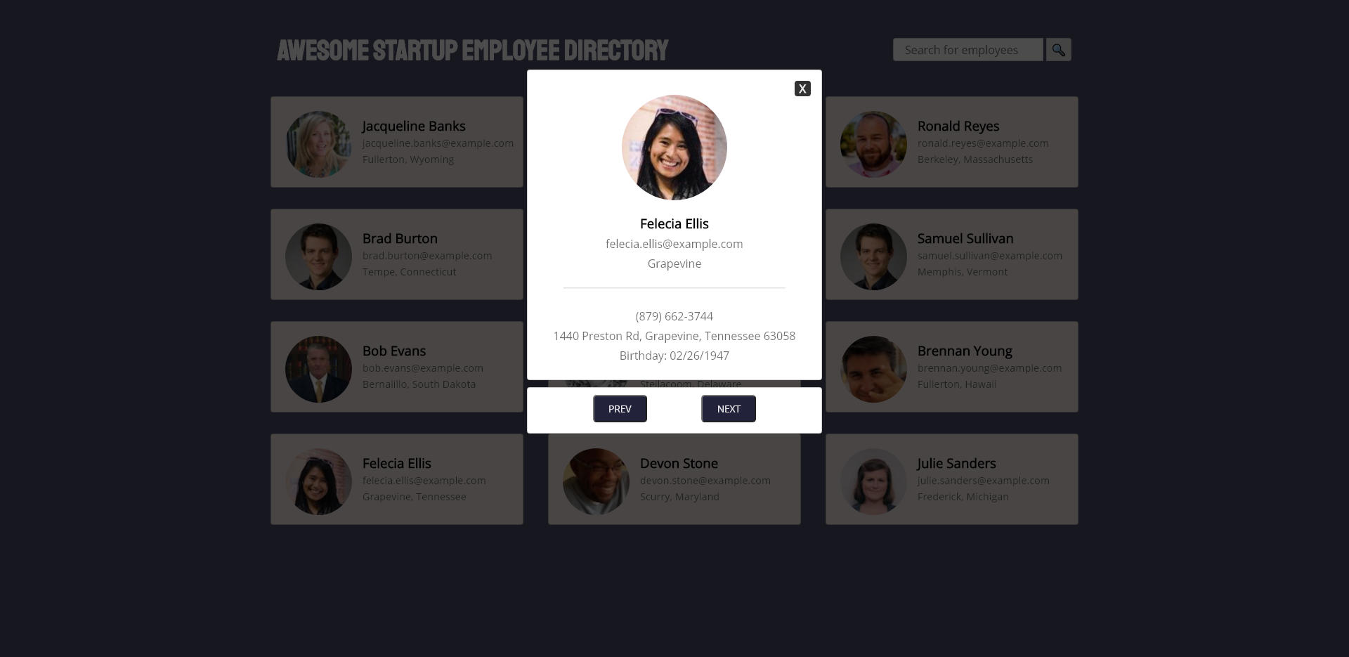 Screen capture of Awesome Employee Directory: Public API Integration